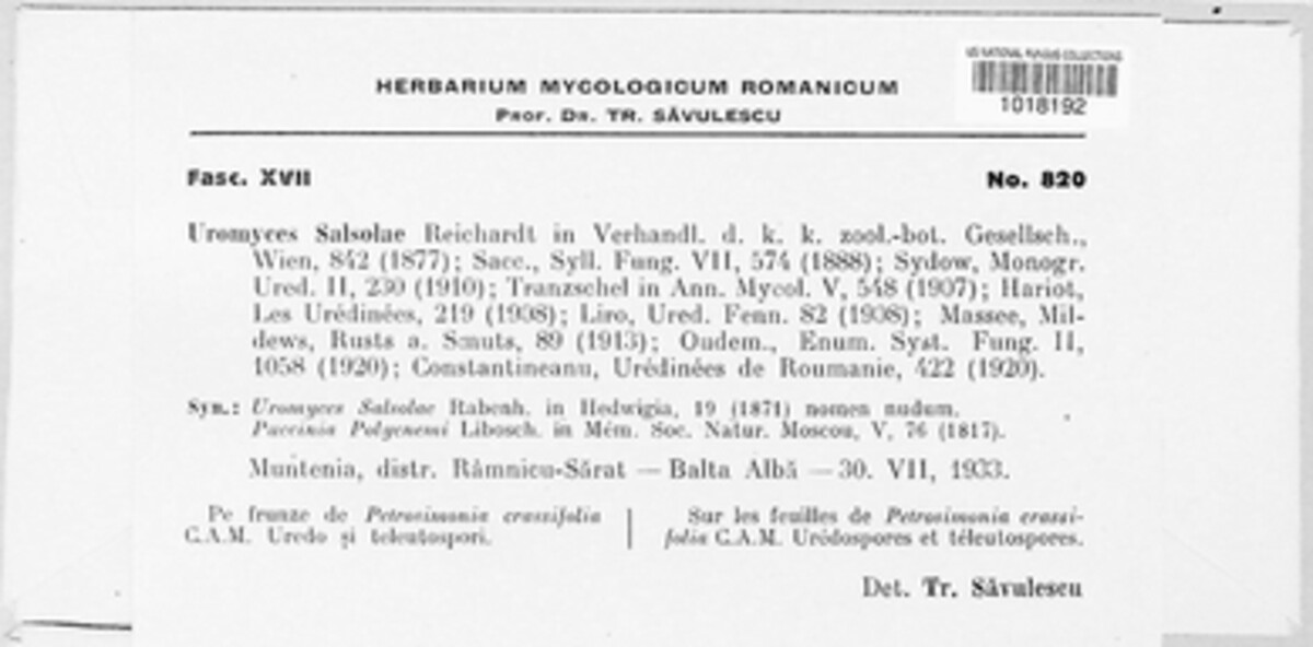 Uromyces salsolae image